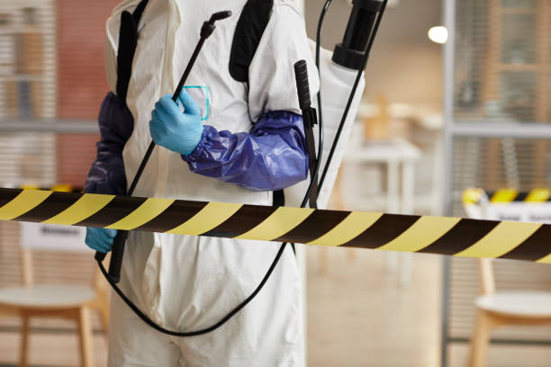 Professional Sewage Cleanup technician working in Empire, CA